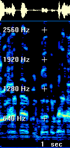 Praat Enhanced. Click for audio